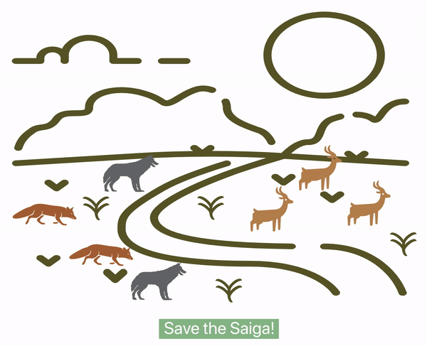 Saigas disappearing