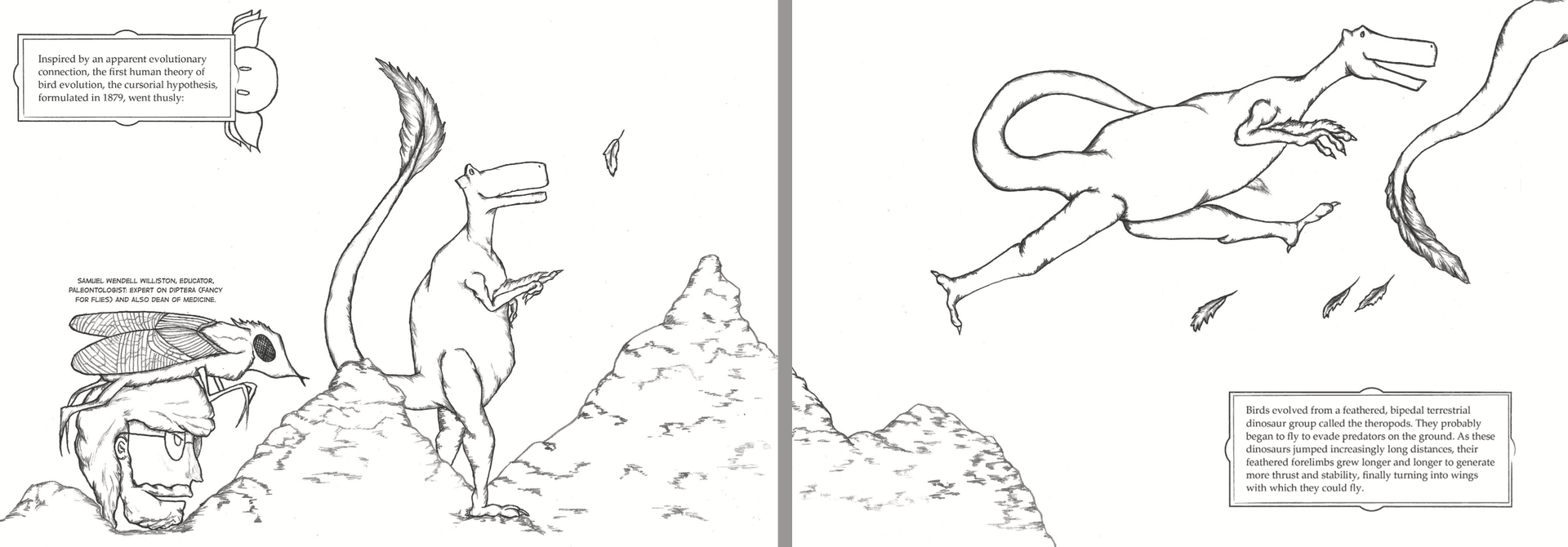 evolution